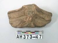 藏品(灰褐色夾砂陶口緣殘件)的圖片